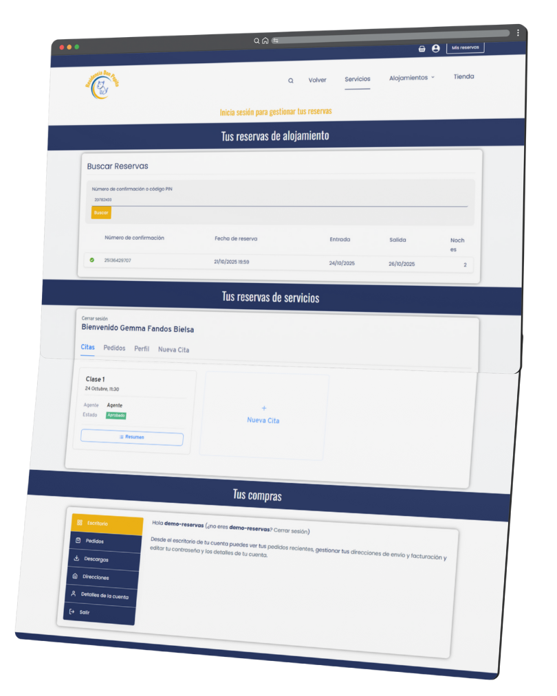 Ejemplo de panel de cliente