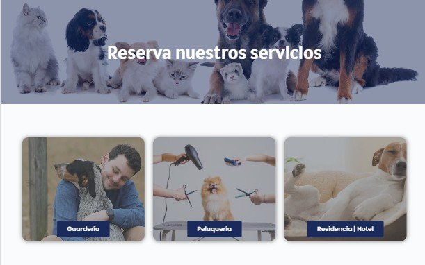 Sin listados infinitos