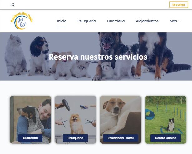 www.demo.icsreservas.com